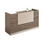 Modern Minimalist Reception Desk